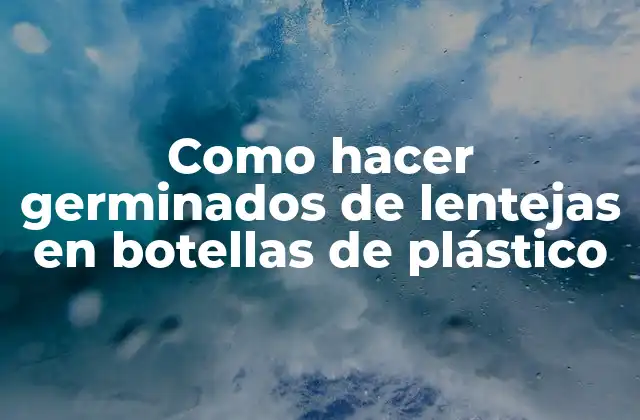 Como Hacer Germinados de Lentejas en Botellas de Plástico