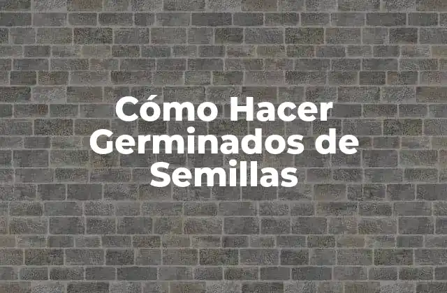 Cómo Hacer Germinados de Semillas