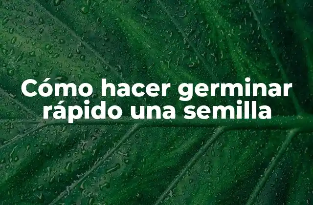 Cómo Hacer Germinar Rápido una Semilla 2 Cómo hacer germinar rápido una semilla