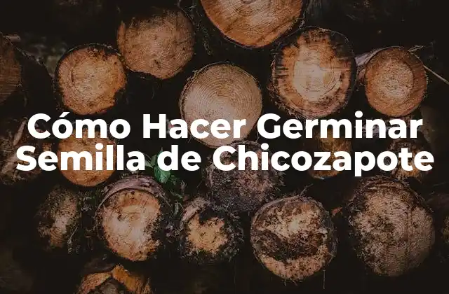 Cómo Hacer Germinar Semilla de Chicozapote