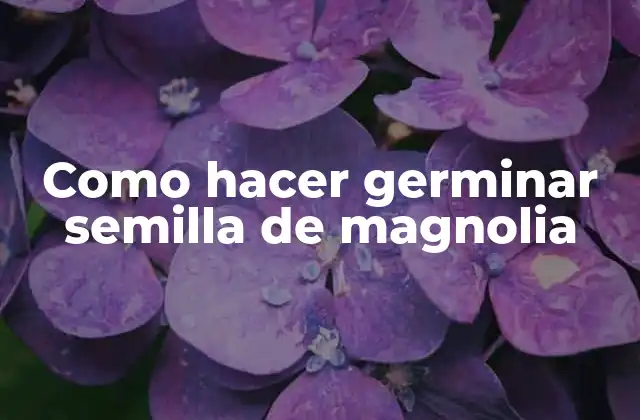 ¿Qué es la germinación de semillas de magnolia?