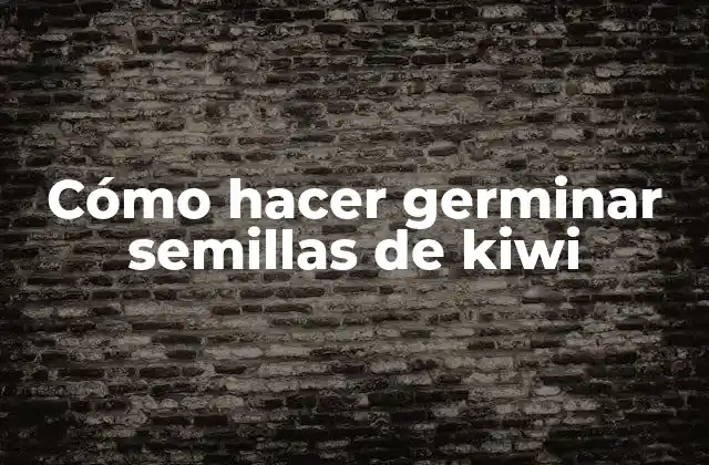 Cómo Hacer Germinar Semillas de Kiwi 2 ¿Qué son las semillas de kiwi y cómo se utilizan?
