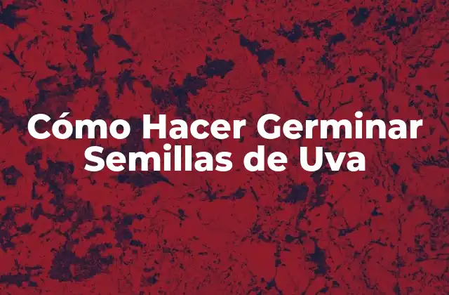 Cómo Hacer Germinar Semillas de Uva