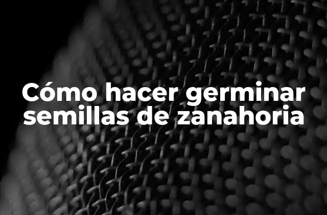 Cómo Hacer Germinar Semillas de Zanahoria