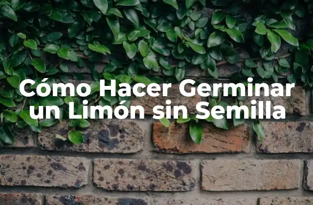 Cómo Hacer Germinar un Limón sin Semilla 2 ¿Qué es Germinar un Limón sin Semilla?