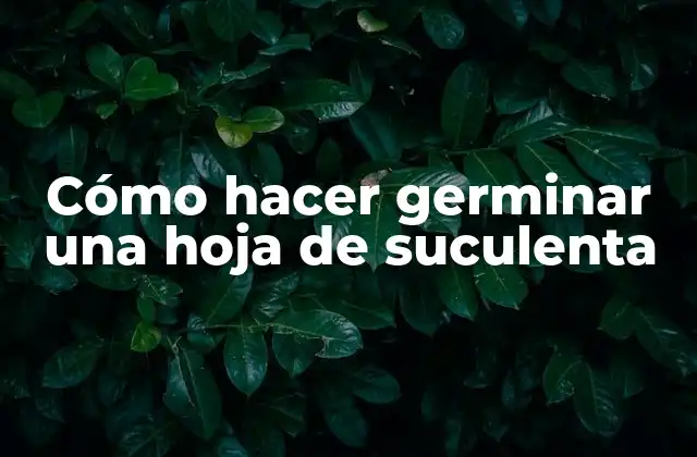 Cómo Hacer Germinar una Hoja de Suculenta