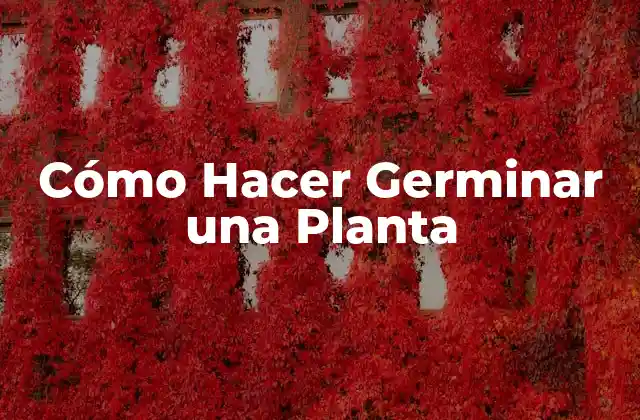 Cómo Hacer Germinar una Planta 2 Qué es Germinar una Planta