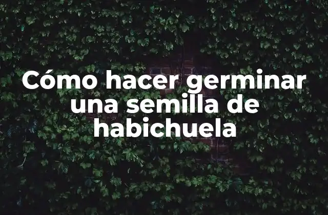 Cómo Hacer Germinar una Semilla de Habichuela