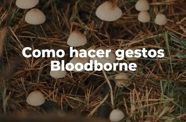 Como Hacer Gestos Bloodborne