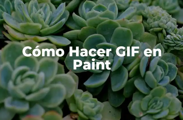 Cómo Hacer Gif en Paint