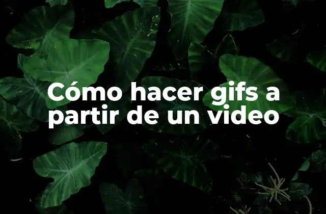 Cómo Hacer Gifs a Partir de un Video