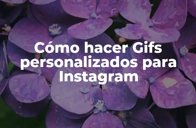 Cómo Hacer Gifs Personalizados para Instagram