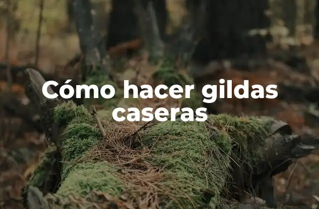 ¿Qué son las gildas caseras y para qué sirven?