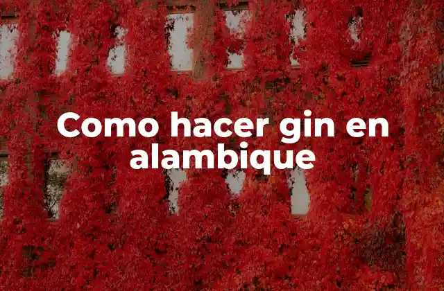 Como Hacer Gin en Alambique