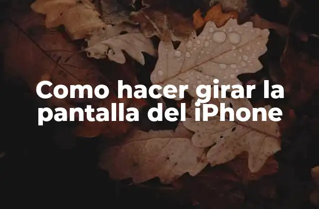 Como Hacer Girar la Pantalla Del Iphone