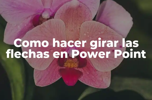 Como Hacer Girar las Flechas en Power Point 2 ¿Qué son las flechas en PowerPoint y para qué sirven?