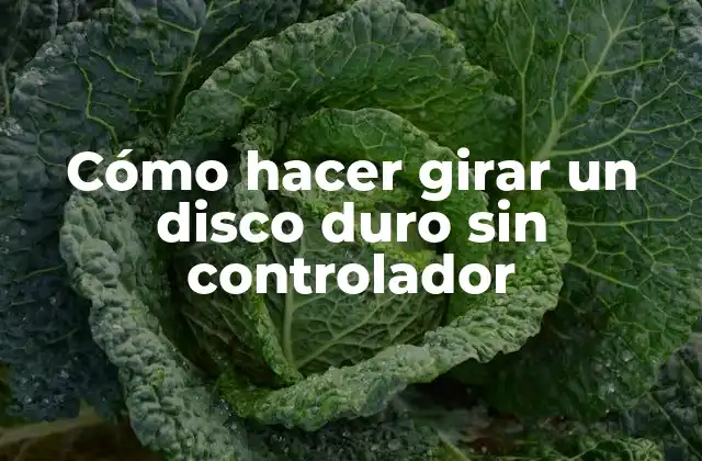 Cómo Hacer Girar un Disco Duro sin Controlador