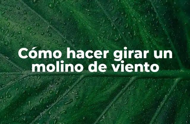 Cómo Hacer Girar un Molino de Viento