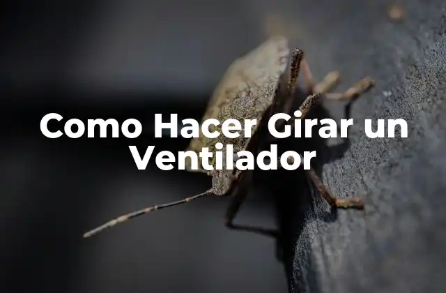 Como Hacer Girar un Ventilador