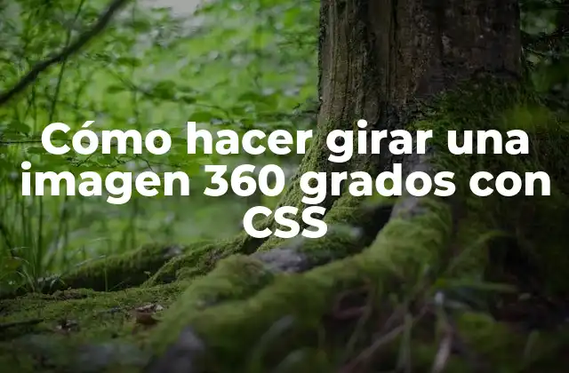 Cómo Hacer Girar una Imagen 360 Grados con Css 2 Cómo hacer girar una imagen 360 grados con CSS
