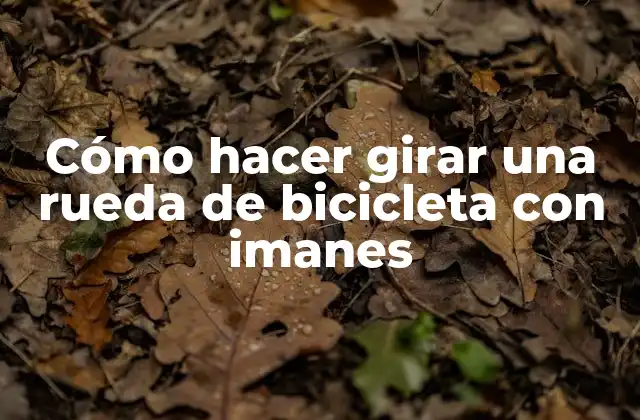 Cómo Hacer Girar una Rueda de Bicicleta con Imanes