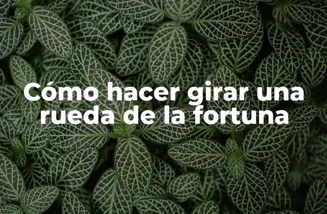 Cómo Hacer Girar una Rueda de la Fortuna