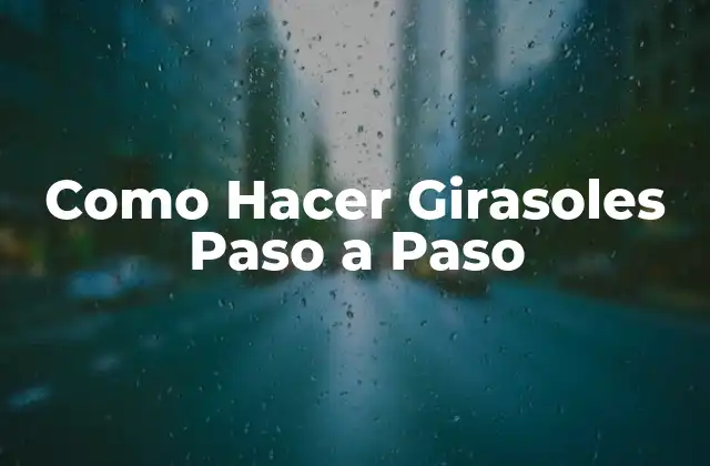¿Qué son los Girasoles y para Qué Sirven?