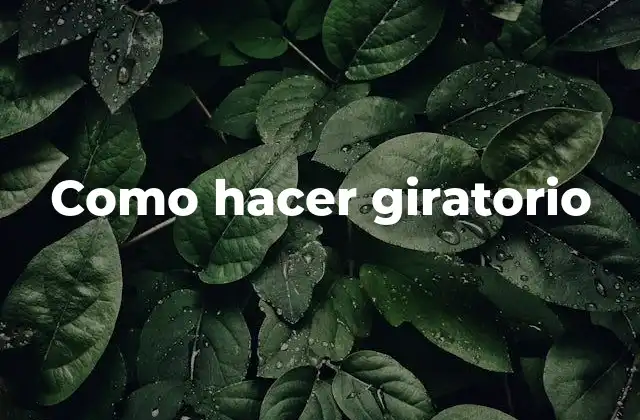 Como Hacer Giratorio