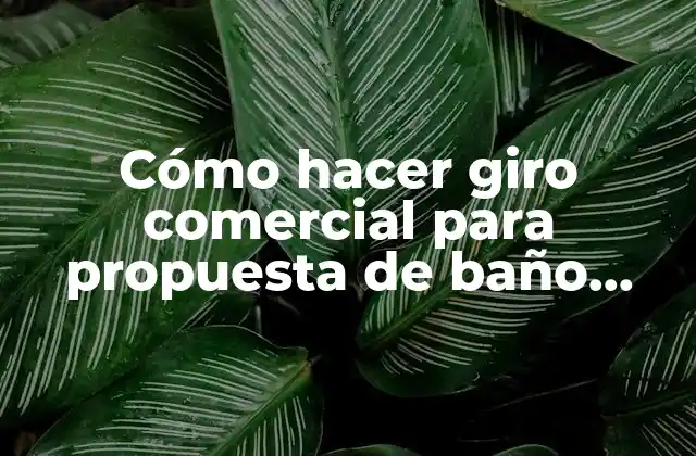Cómo Hacer Giro Comercial para Propuesta de Baño Negocio