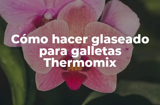 Cómo Hacer Glaseado para Galletas Thermomix