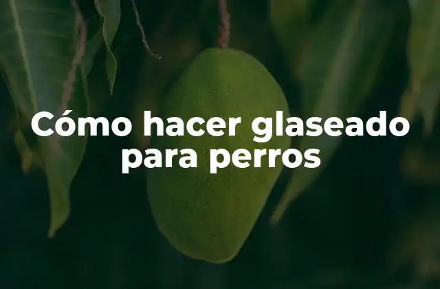 ¿Qué es el glaseado para perros y para qué sirve?