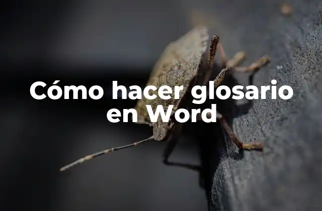 Cómo Hacer Glosario en Word 2 ¿Qué es un glosario y cómo se utiliza en Word?