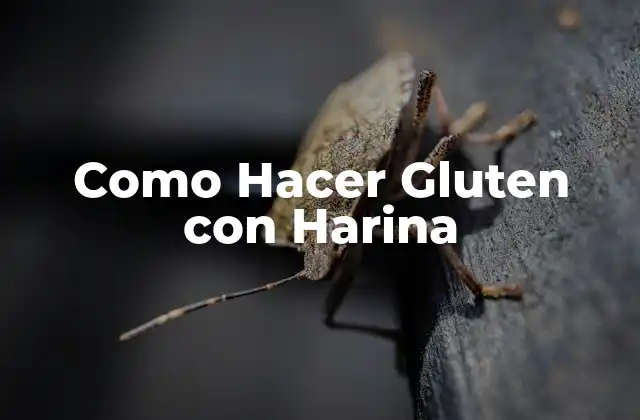 Como Hacer Gluten con Harina