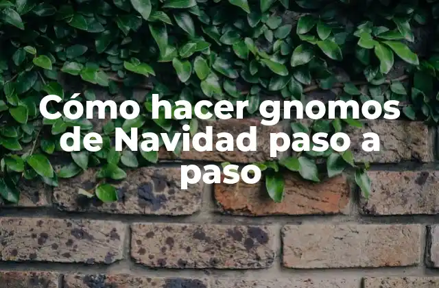 Cómo Hacer Gnomos de Navidad Paso a Paso