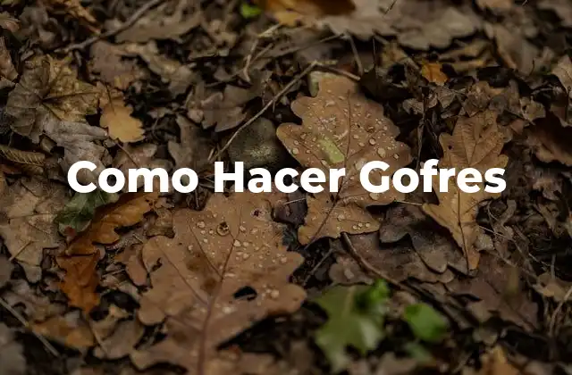 ¿Qué son los Gofres?