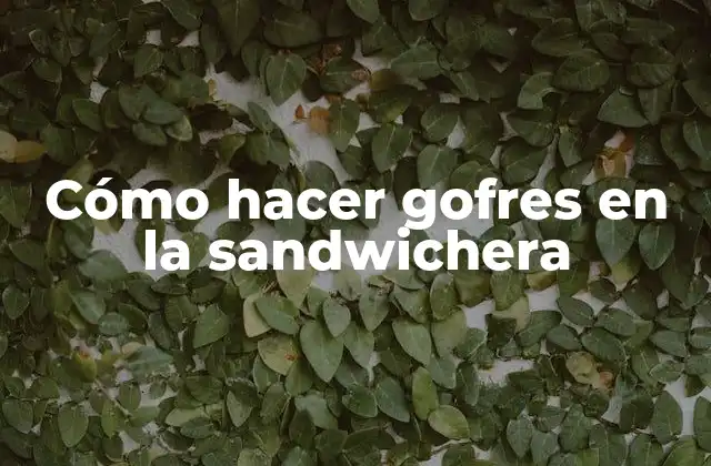 Cómo Hacer Gofres en la Sandwichera