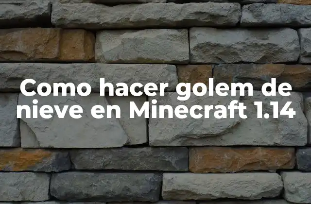 Como Hacer Golem de Nieve en Minecraft 1.14