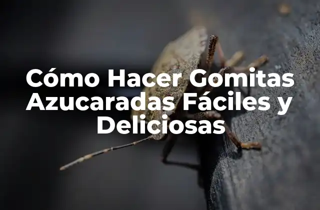 Cómo Hacer Gomitas Azucaradas Fáciles y Deliciosas