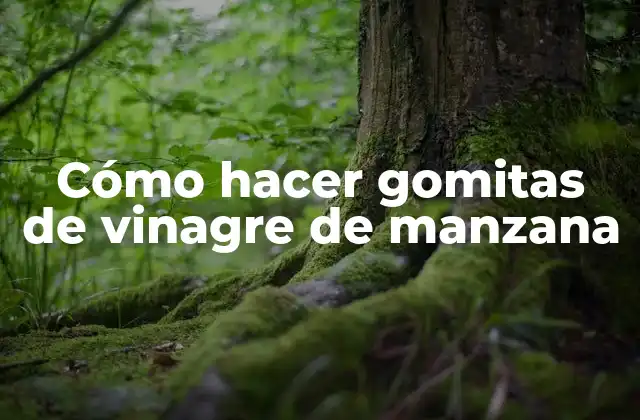 Cómo Hacer Gomitas de Vinagre de Manzana