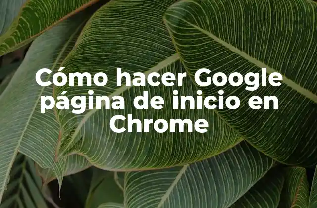 Cómo Hacer Google Página de Inicio en Chrome