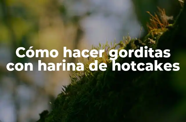 Cómo Hacer Gorditas con Harina de Hotcakes