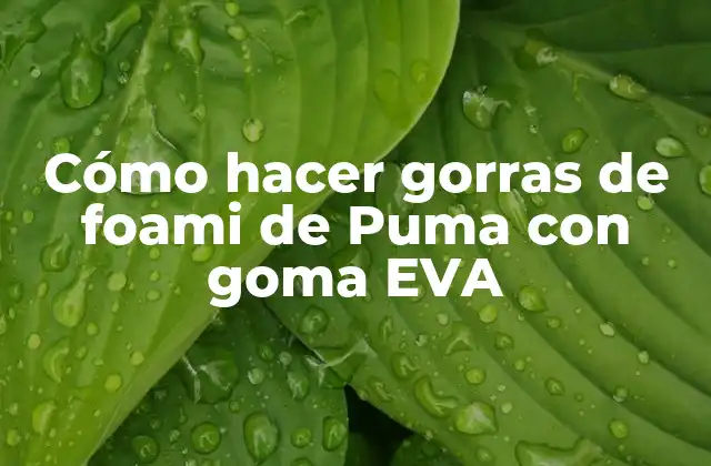 ¿Qué es la goma EVA y por qué es ideal para hacer gorras de foami de Puma?