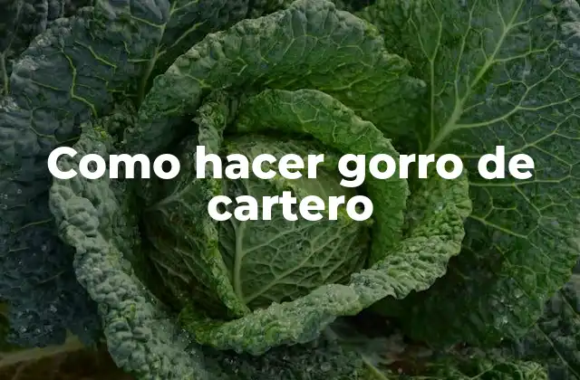 ¿Qué es un gorro de cartero?