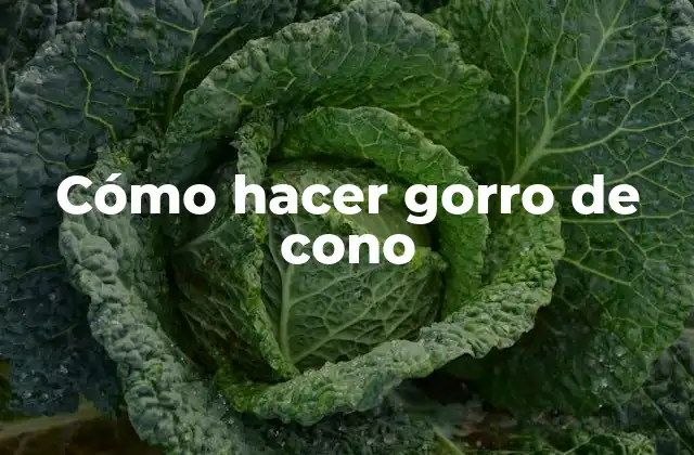 Cómo Hacer Gorro de Cono 2 ¿Qué es un gorro de cono?
