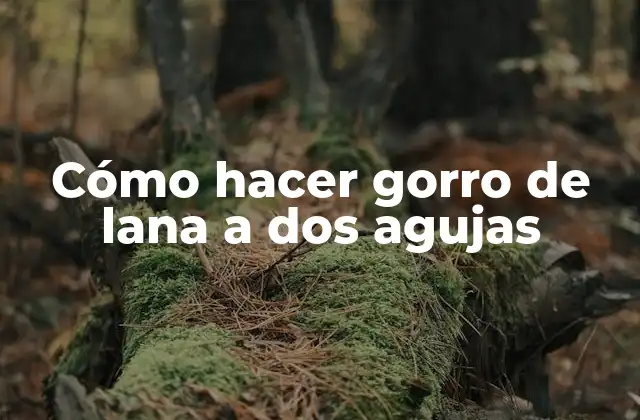 Cómo Hacer Gorro de Lana a Dos Agujas