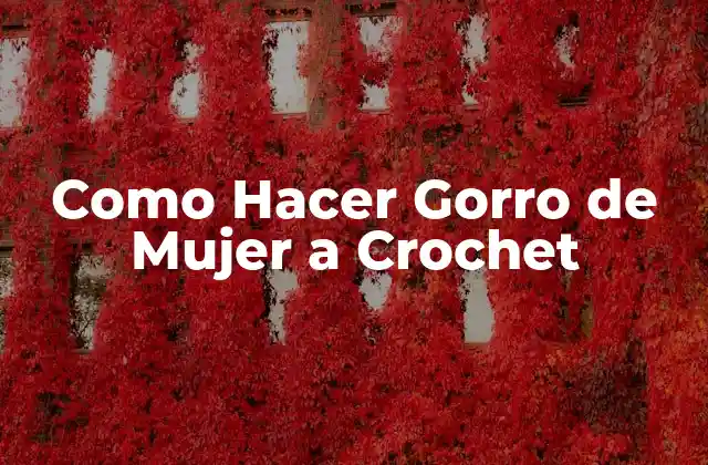 Como Hacer Gorro de Mujer a Crochet