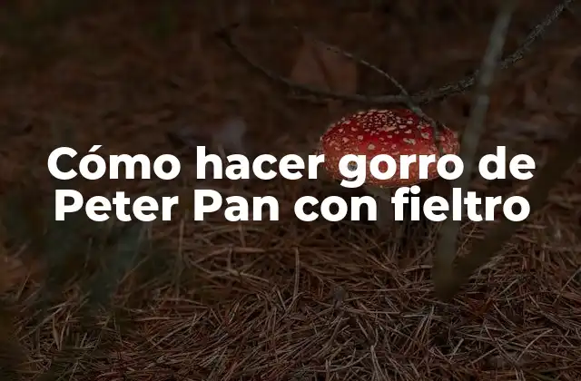 Cómo Hacer Gorro de Peter Pan con Fieltro