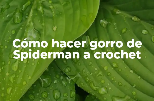 Cómo Hacer Gorro de Spiderman a Crochet