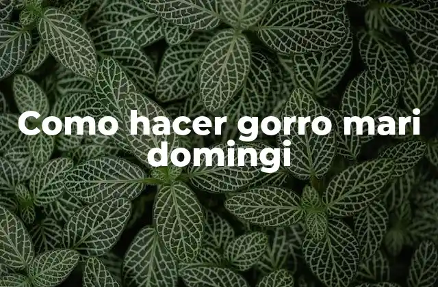Como Hacer Gorro Mari Domingi