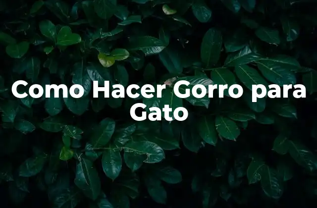 Como Hacer Gorro para Gato